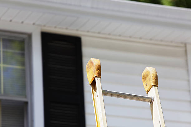 Best Hoarding Cleanup  in Telluride, CO